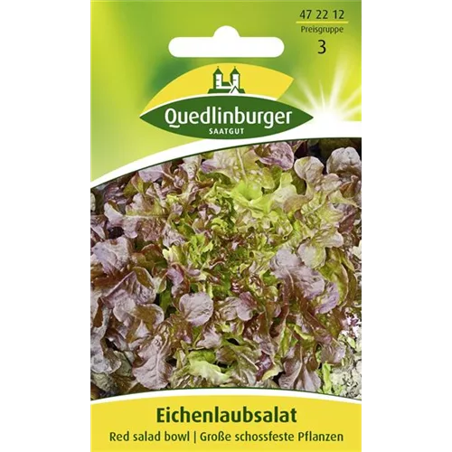 Eichblattsalatsamen 'Red Salad Bowl'