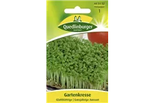 Glattblättrige Gartenkresse-Samen Packungsinhalt reicht für ca. 0,2 qm