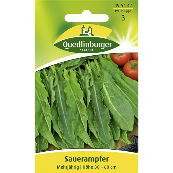 Großer Sauerampfer-Samen