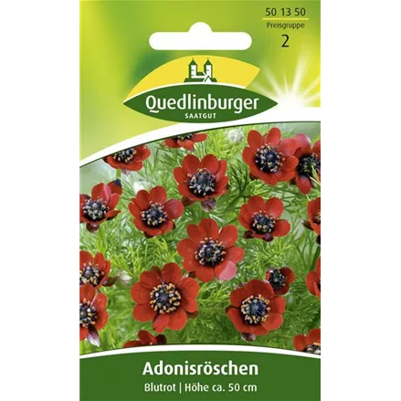 Adonisröschensamen 'Blutrot'