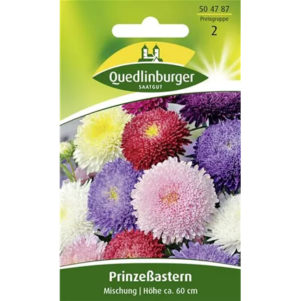 Gartenastersamen 'Prinzess'