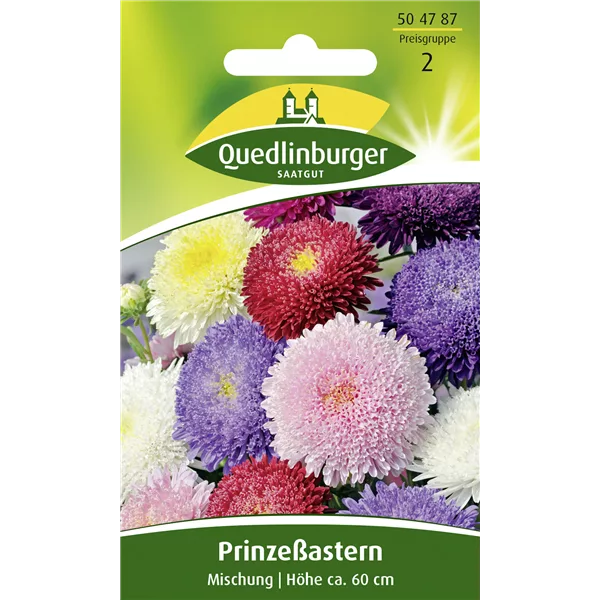 Gartenastersamen 'Prinzess'