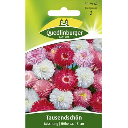 Gänseblümchensamen