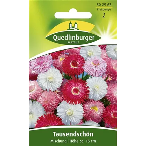 Gänseblümchensamen