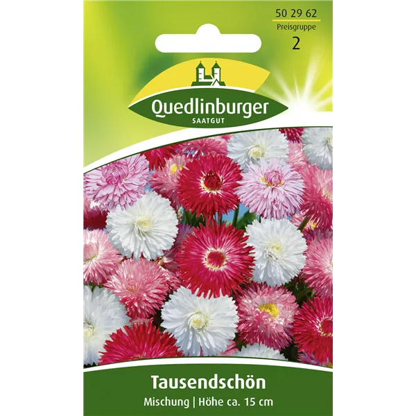 Gänseblümchensamen