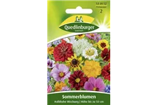 Halbhohe Sommerblumen-Samen Portion