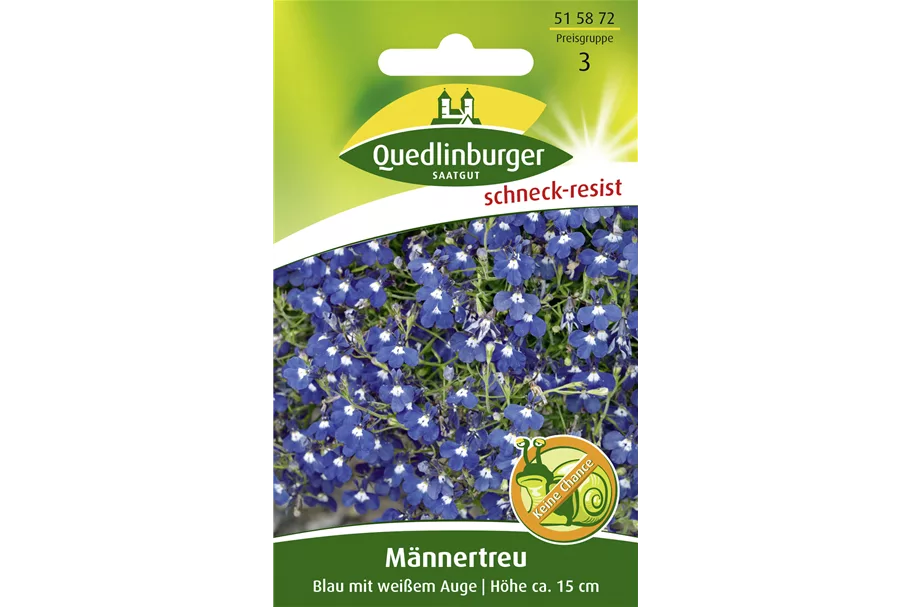 Männertreusamen 'Blau mit weißem Auge' Portion