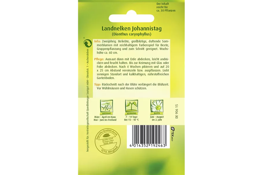 Gartennelkensamen 'Johannistag' Portion