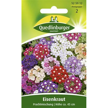 Eisenkrautsamen 'Prachtmischung'