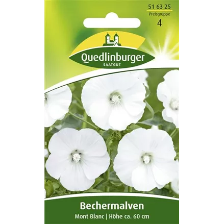 Bechermalvensamen 'Mont Blanc'