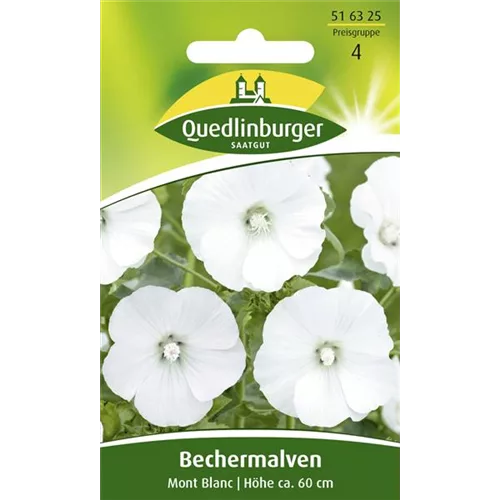 Bechermalvensamen 'Mont Blanc'