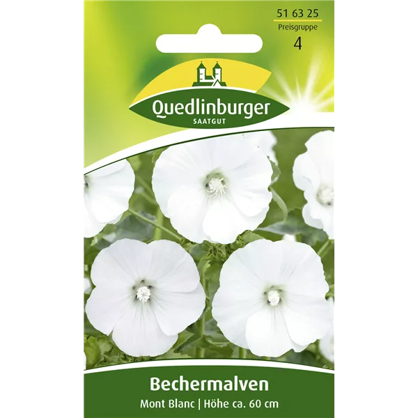 Bechermalvensamen 'Mont Blanc'