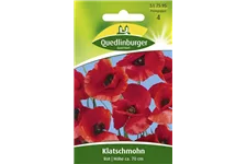 Klatsch-Mohn-Samen Portion