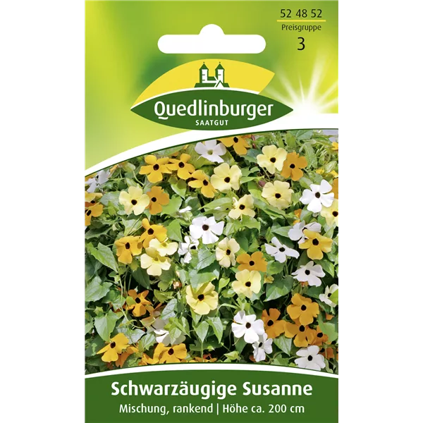 Schwarzäugige Susanne-Samen