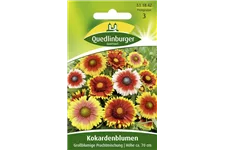 Prärie-Kokardenblume-Samen Portion