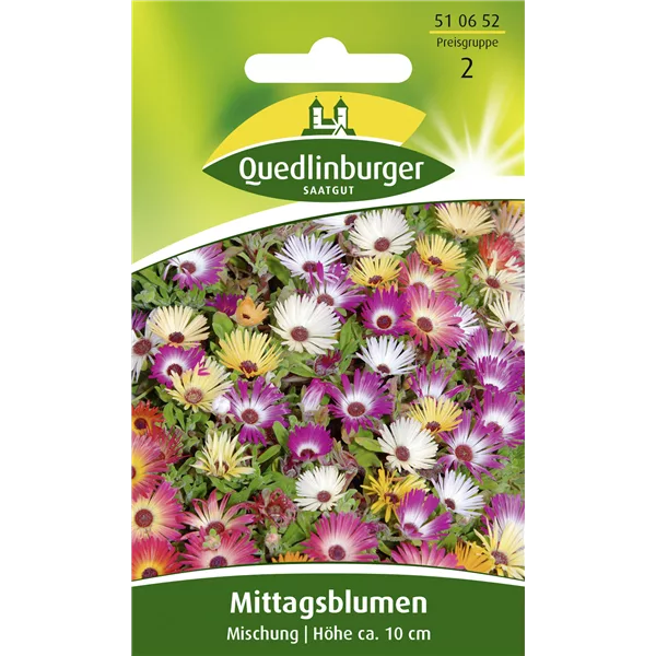 Mittagsblumensamen