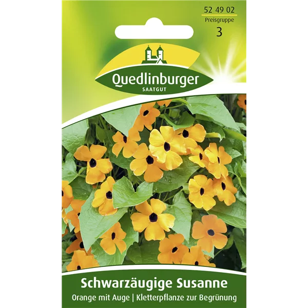 Schwarzäugige Susanne-Samen, orange