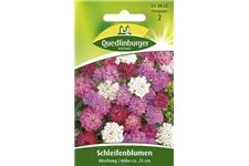 Schleifenblumensamen Portion