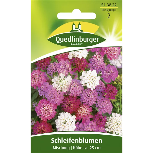 Schleifenblumensamen