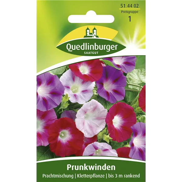 Prunkwindensamen 'Prachtmischung'