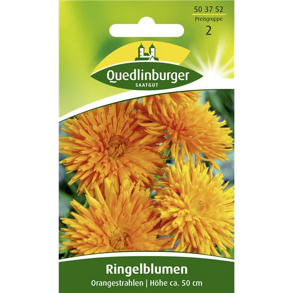 Ringelblumensamen 'Orangestrahlen'