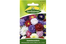 Sommerastersamen 'Hohe Sorten' Portion