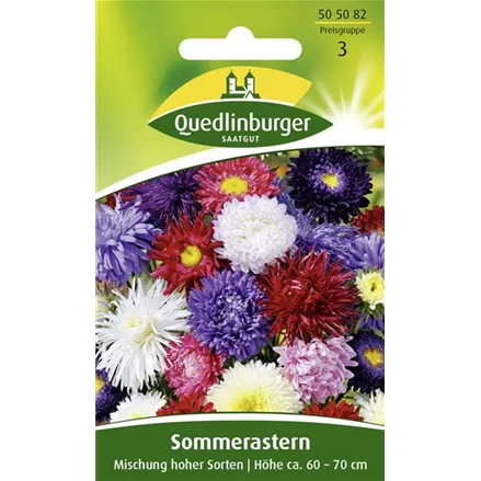 Sommerastersamen 'Hohe Sorten'