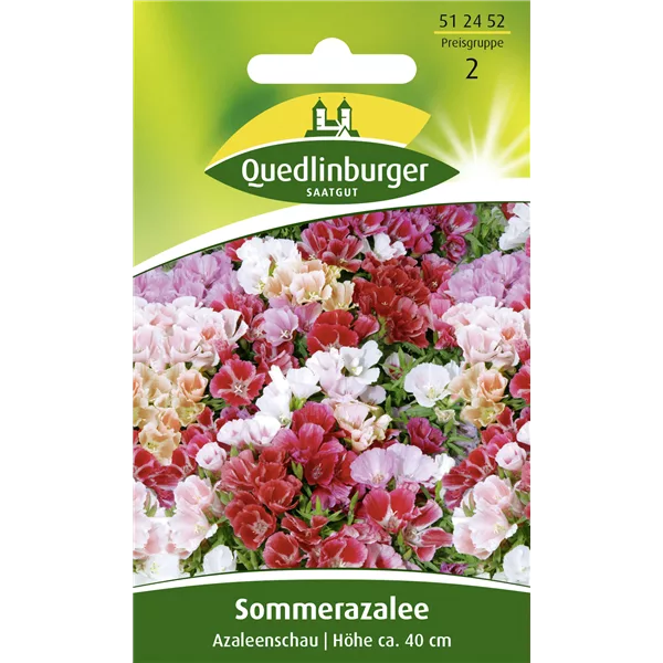 Sommerazaleensamen 'Azaleenschau'