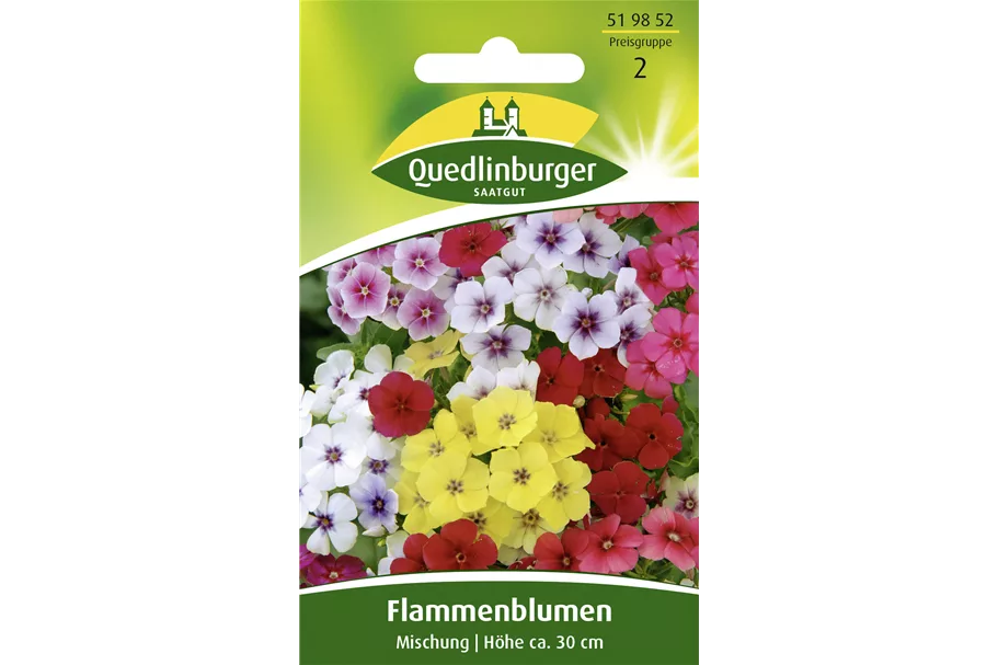 Sommer-Phlox-Samen Portion