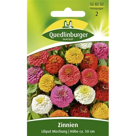 Zinniensamen 'Liliput'