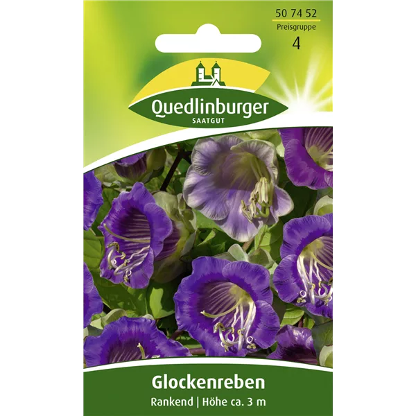 Glockenrebensamen