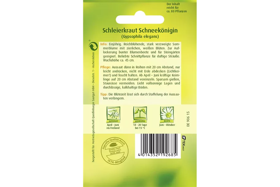 Sommer-Schleierkraut-Samen 'Schneekönigin' Portion