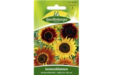 Sonnenblumensamen 'Herbstschönheit' Portion