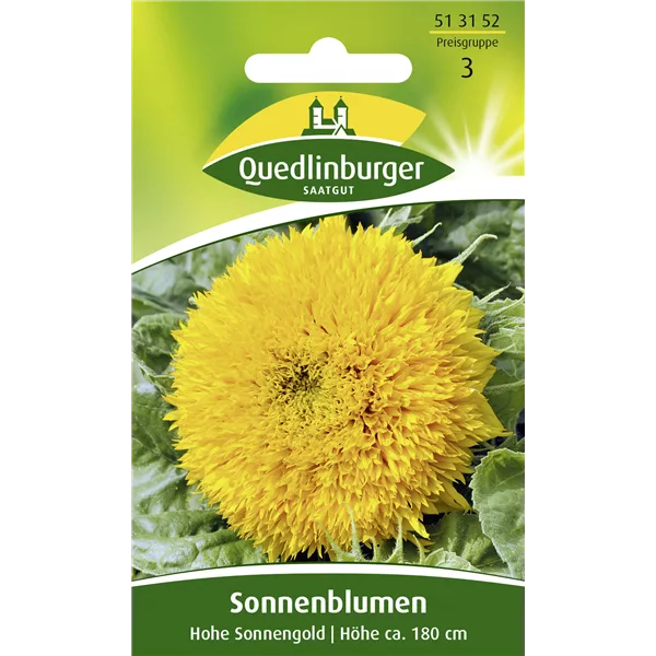 Sonnenblumensamen 'Hohe Sonnengold'