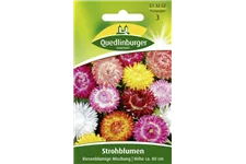 Strohblumensamen 'Riesenblumige Mischung' Portion