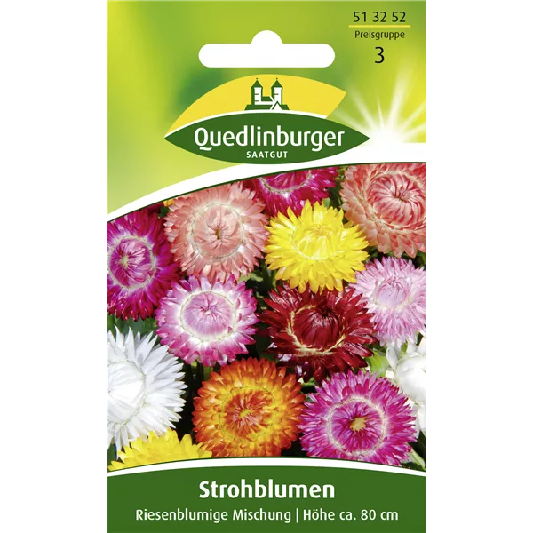 Strohblumensamen 'Riesenblumige Mischung'