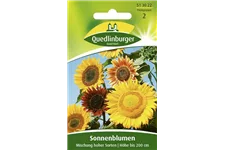 Sonnenblumensamen 'Mischung hoher Sorten' Portion