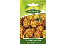 Studentenblumensamen 'Bolero' Portion