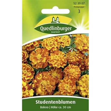 Studentenblumensamen 'Bolero'