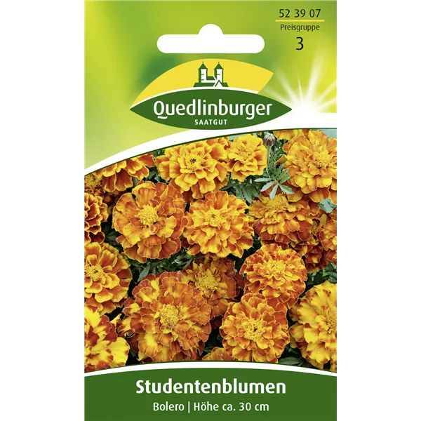 Studentenblumensamen 'Bolero'