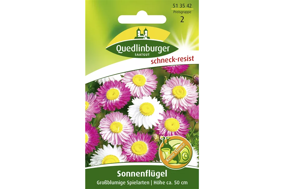 Sonnenflügelsamen 'Großblumige Spielarten' Portion