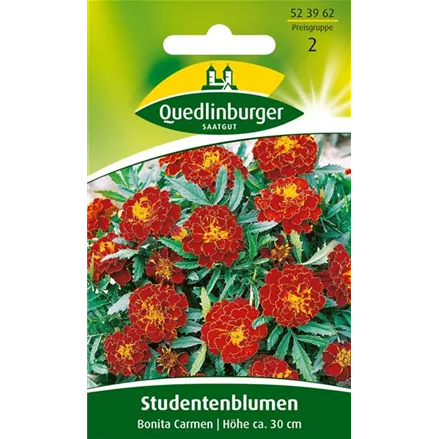 Studentenblumensamen 'Carmen'