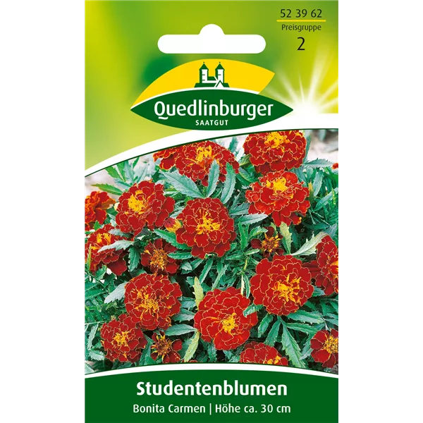 Studentenblumensamen 'Carmen'