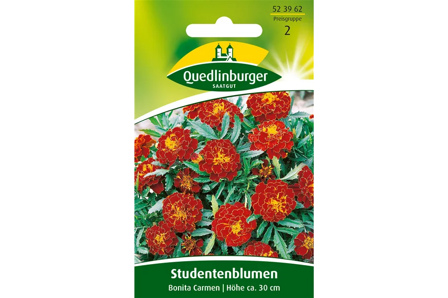 Studentenblumensamen 'Carmen' Portion