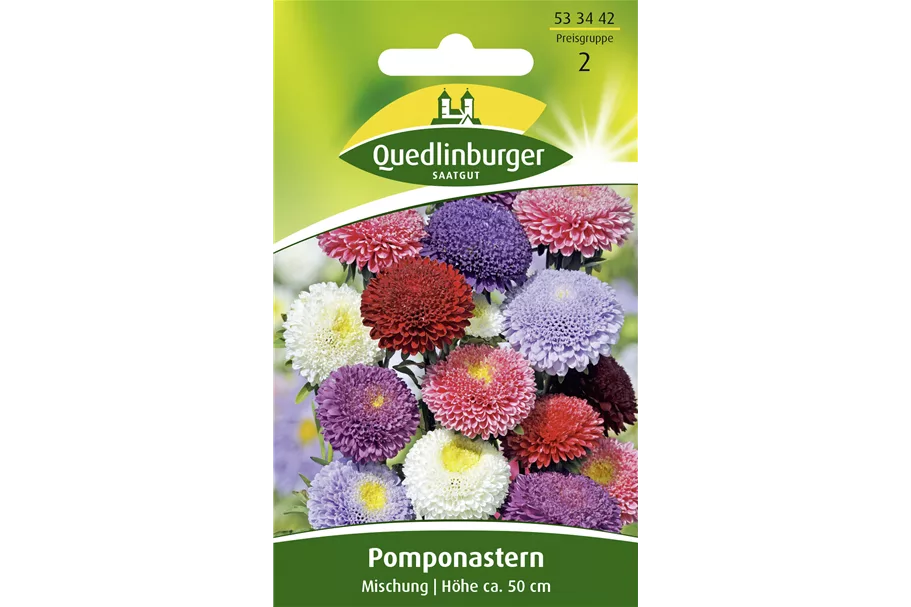 Gartenastersamen 'Pompon' Portion