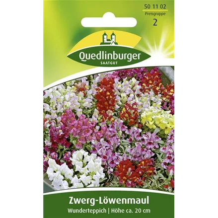 Löwenmaulsamen 'Wunderteppich'