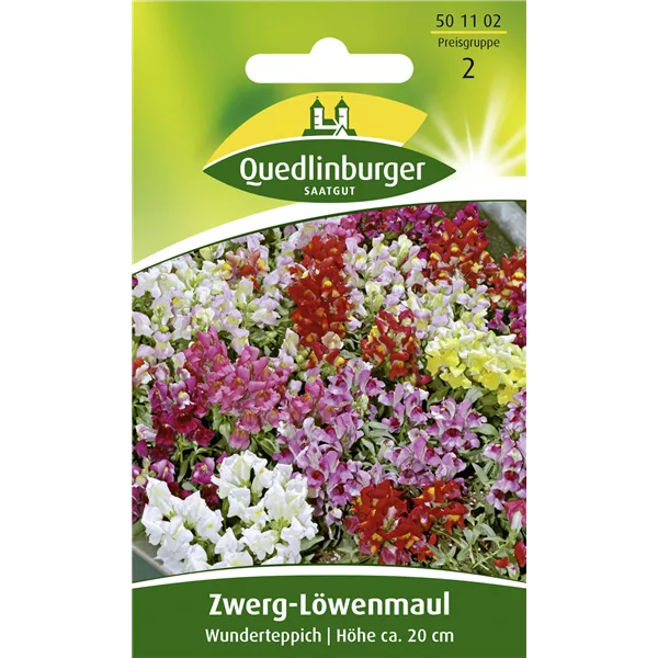 Löwenmaulsamen 'Wunderteppich'