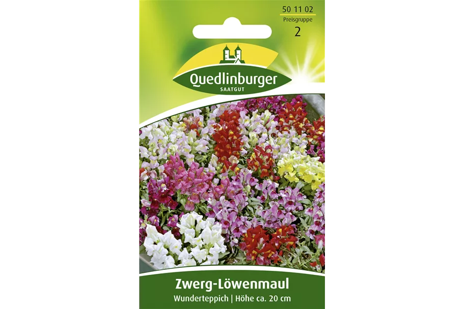 Löwenmaulsamen 'Wunderteppich' Portion