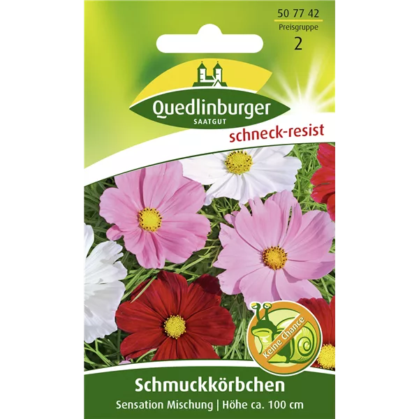 Schmuckkörbchensamen