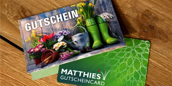 matthies-gs.jpg